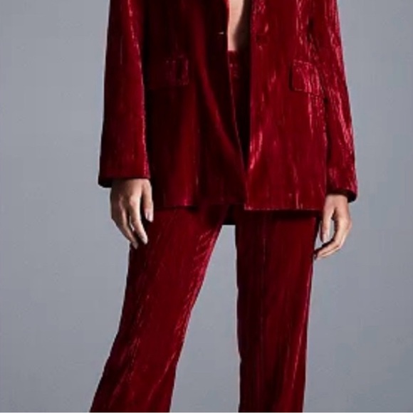 Velvet pants - Steve Madden - Picture 6 of 8